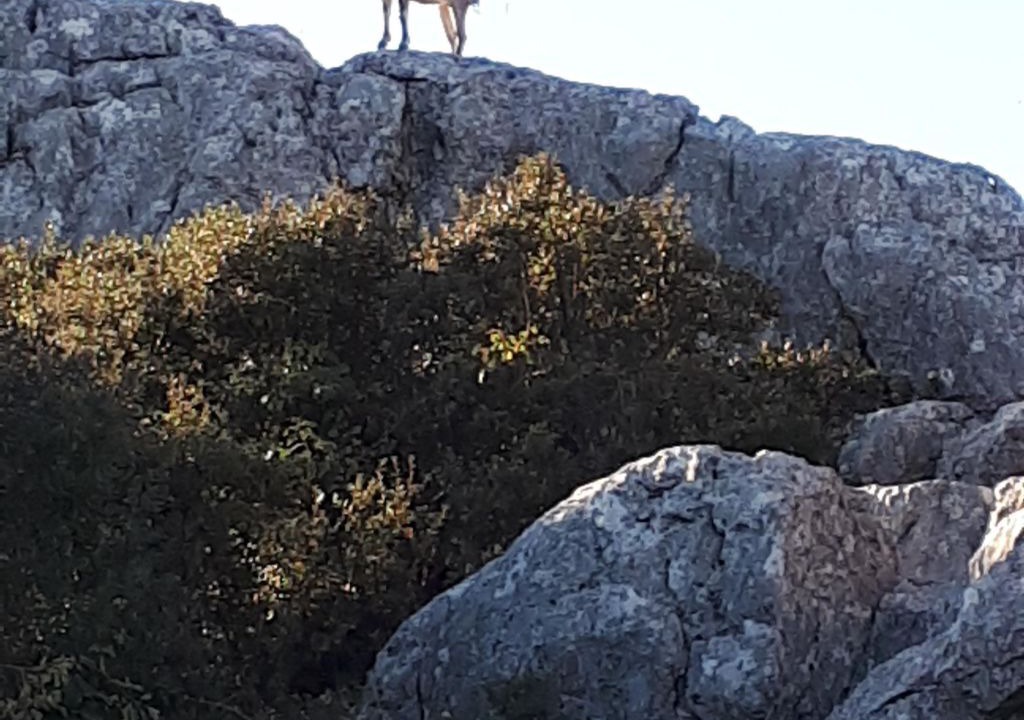 Photo of Others in Antequera