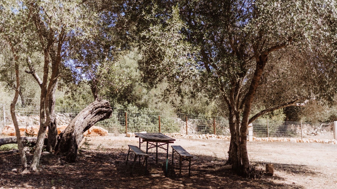 Photo of Others in Son Antem