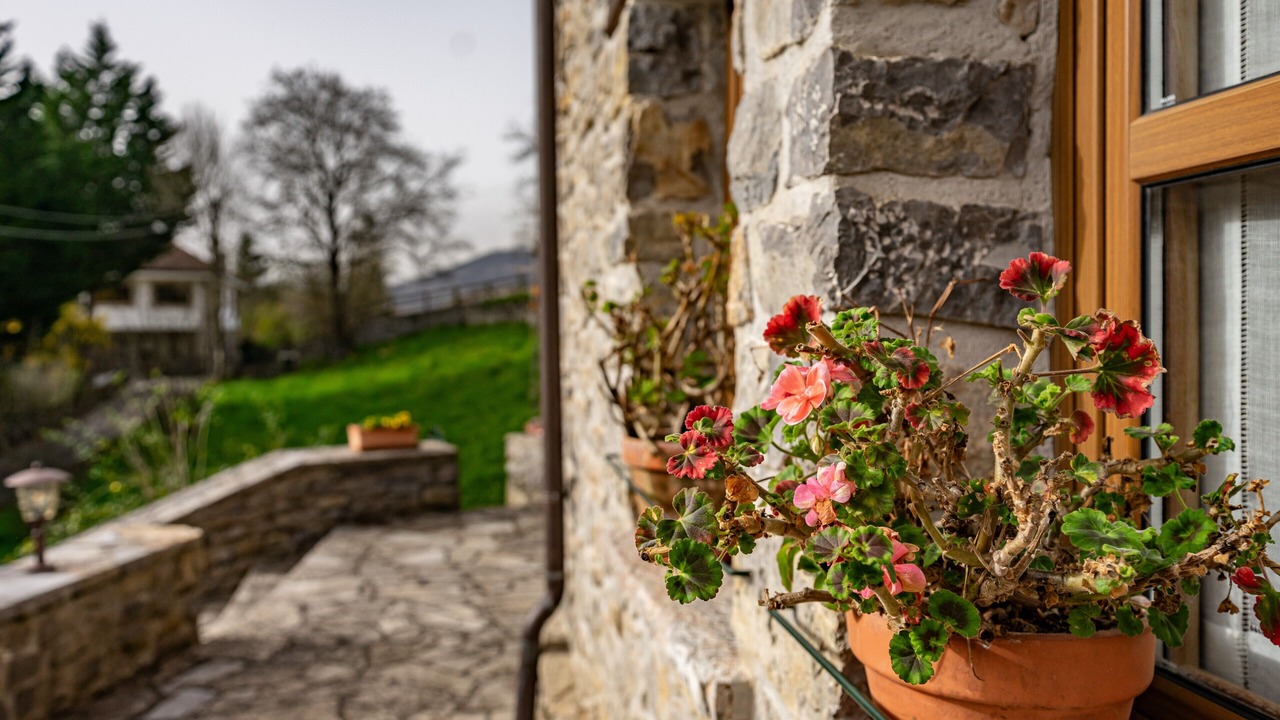 Photo of Outdoor in Santianes de Ola