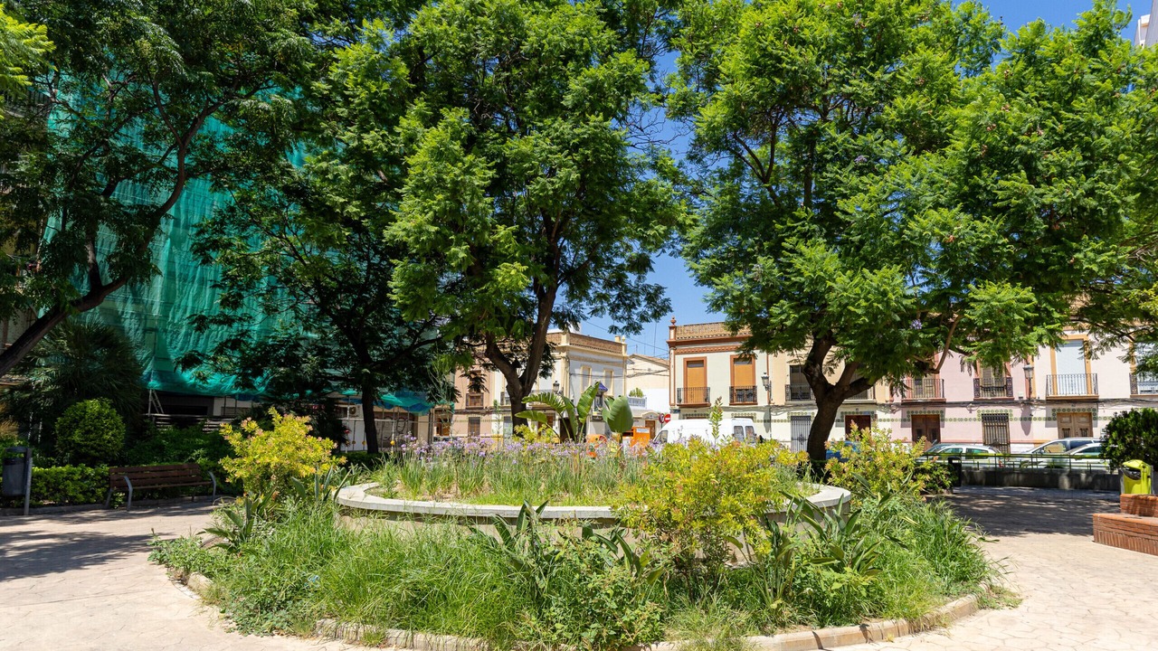 Photo of Outdoor in Torrefiel