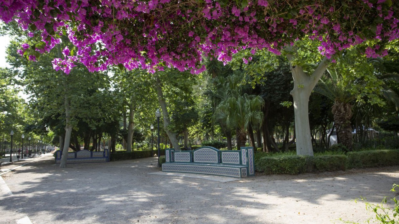 Photo of Outdoor in Castello de la Plana