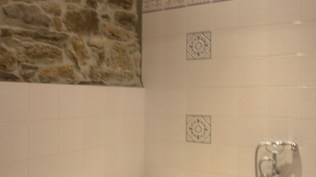 Photo of Bathroom in Trasparga