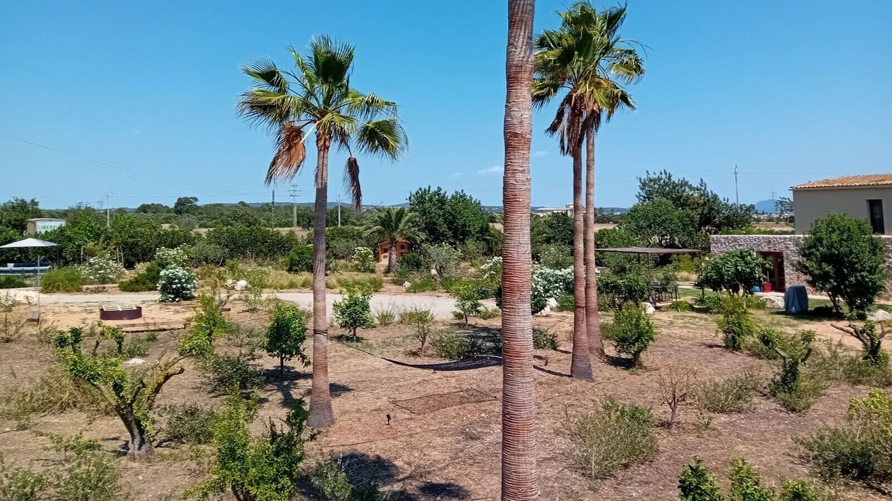 Photo of Outdoor in Sa Cabaneta
