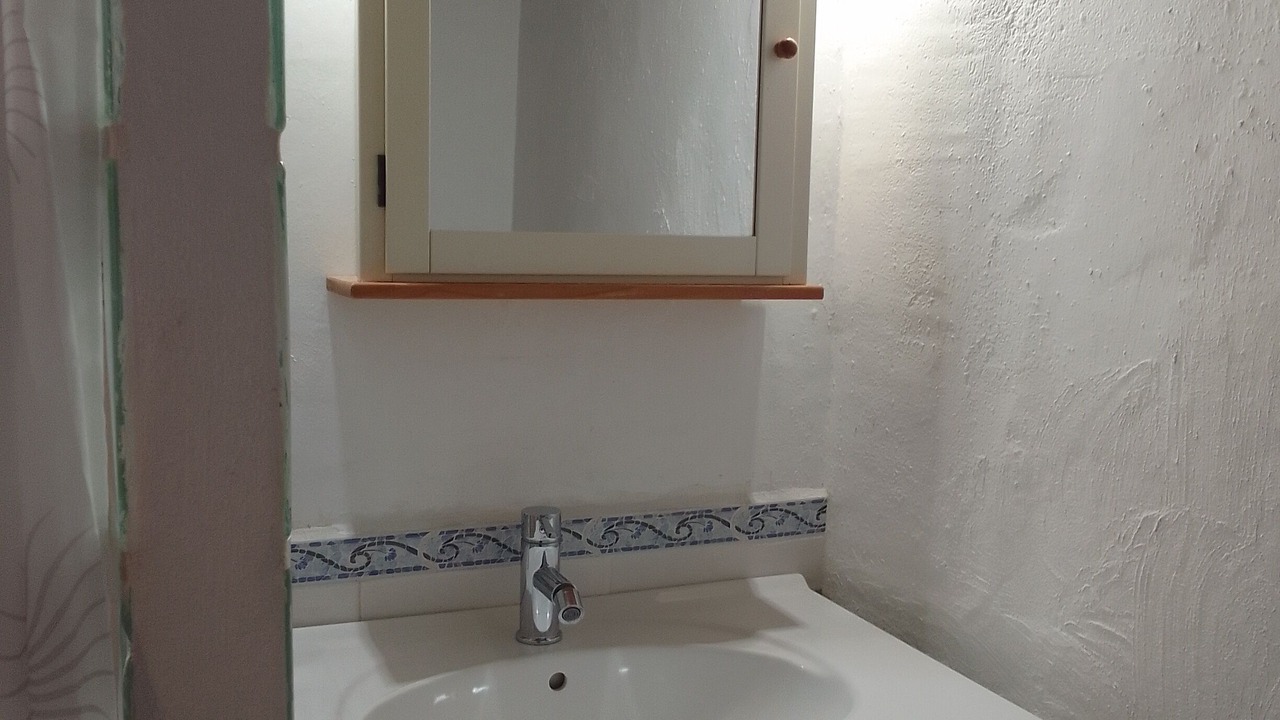 Photo of Bathroom in Lliber