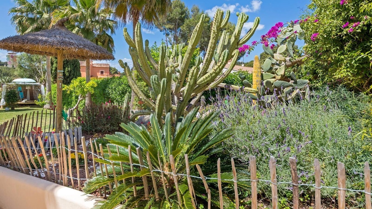 Photo of Outdoor in Ses Rotes Velles