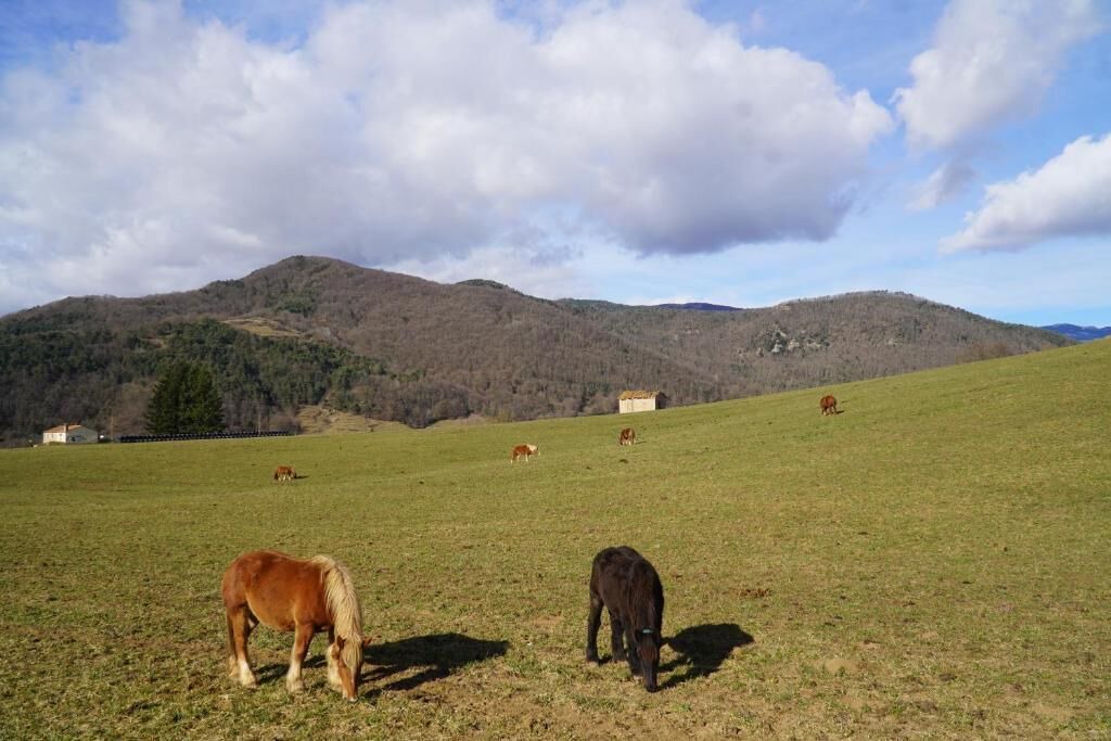 Photo of Others in Sant Pau de Seguries