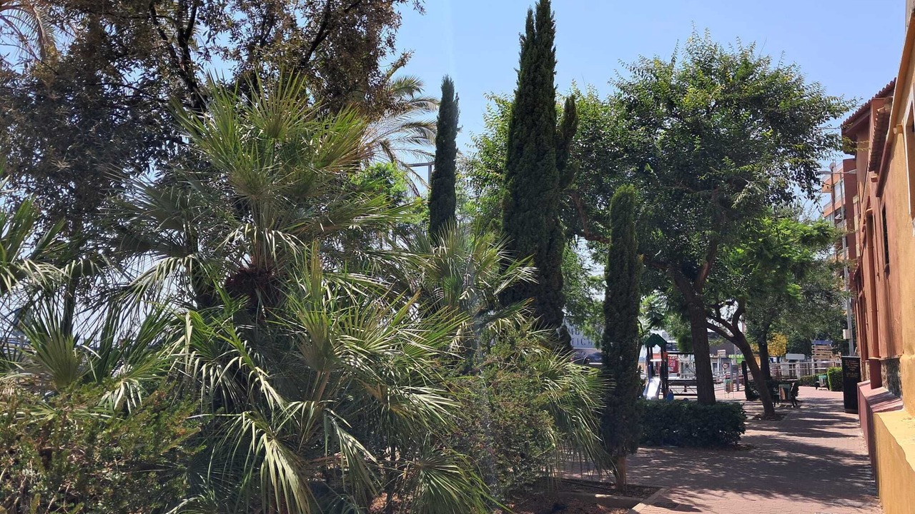 Photo of Outdoor in Sagunto