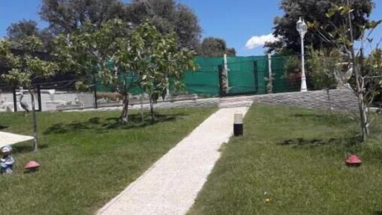 Photo of Outdoor in El Casar de Escalona