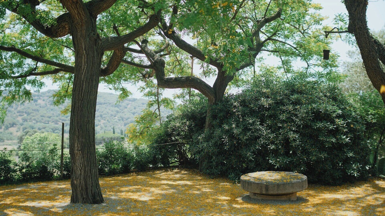 Photo of Outdoor in Tiana