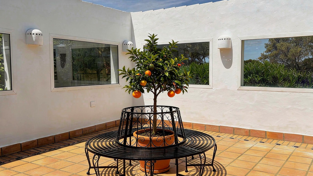 Photo of Patio Balcony in Benalup-Casas Vieja