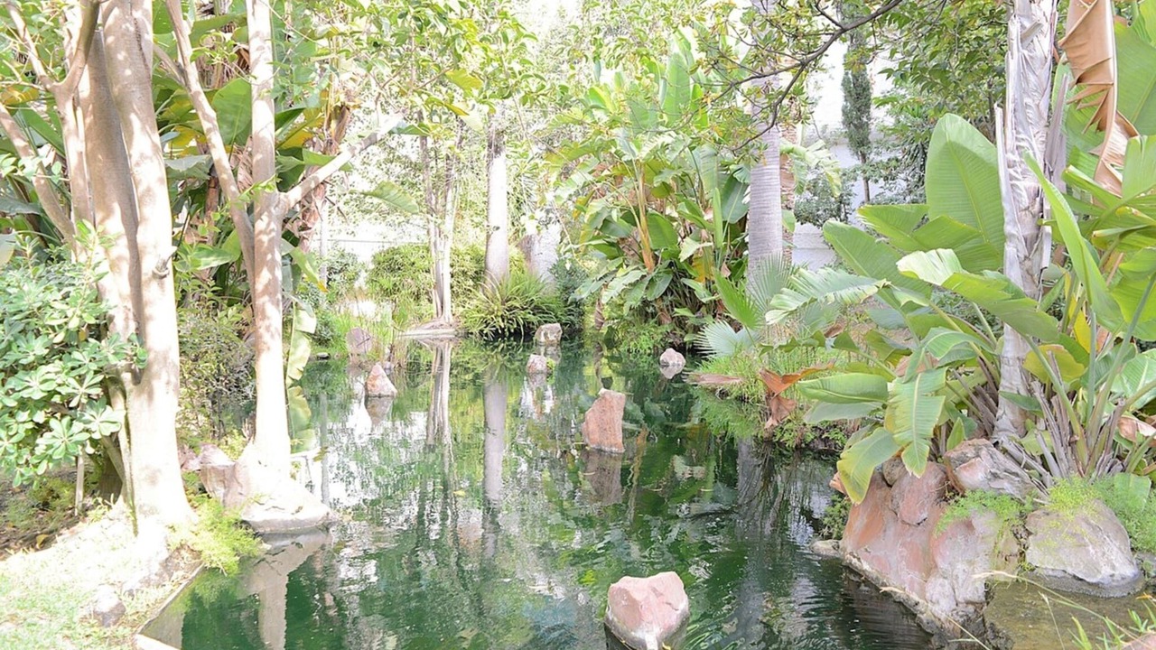 Photo of Outdoor in Golden Mile