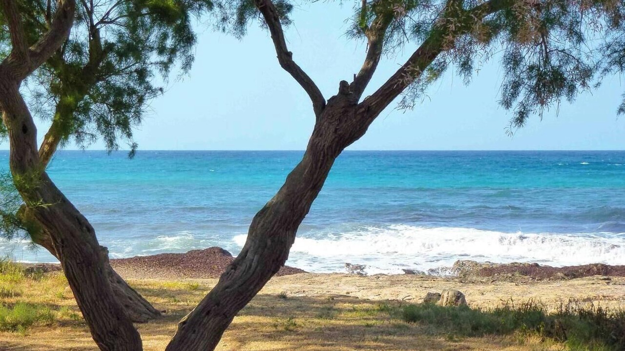 Photo of Others in Son Serra de Marina