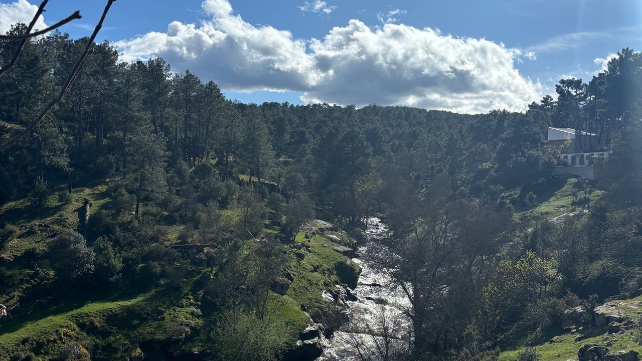Photo of Others in El Pimpollar