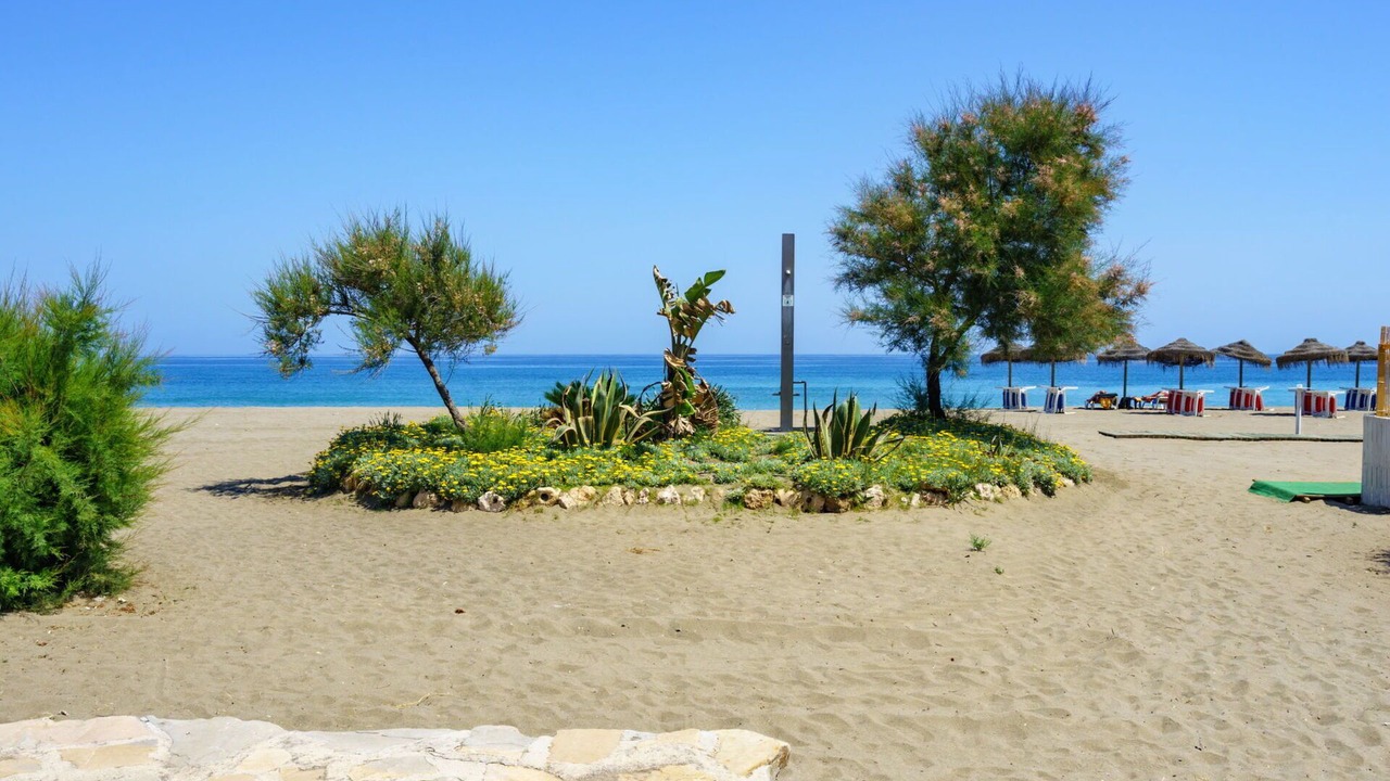 Photo of Others in Bahia de Casares