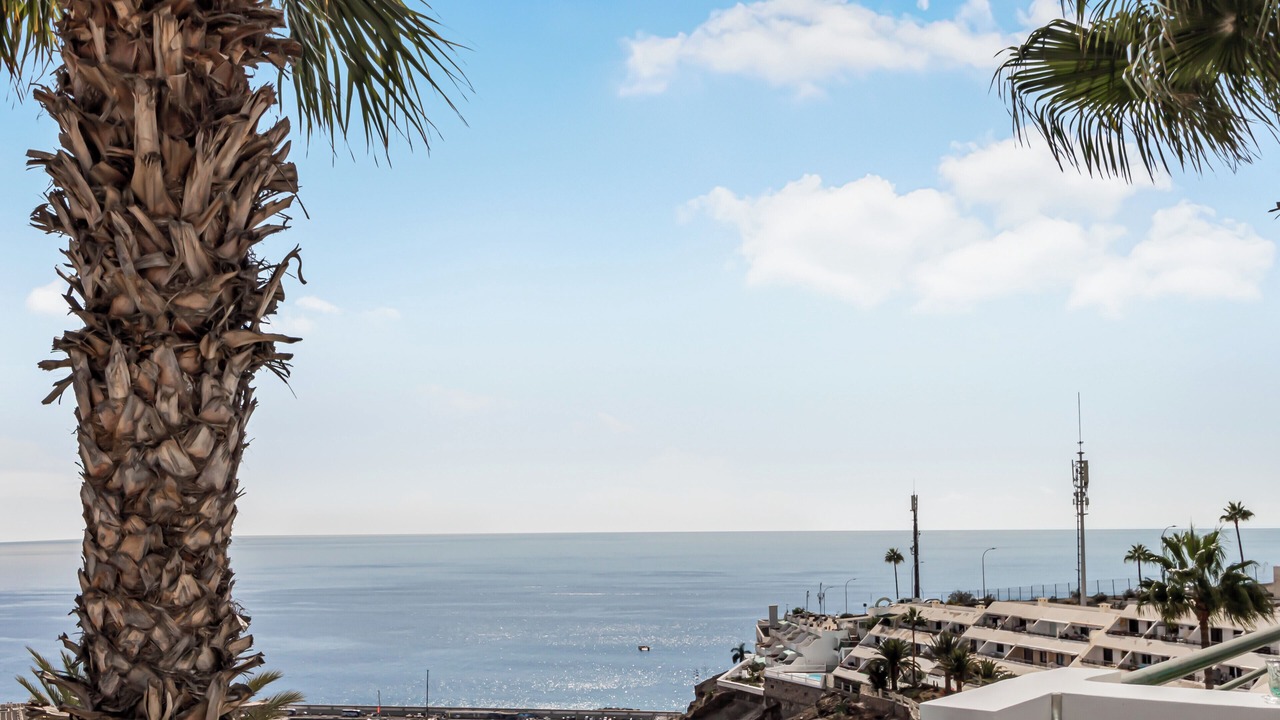 Photo of Outdoor in Puerto Rico