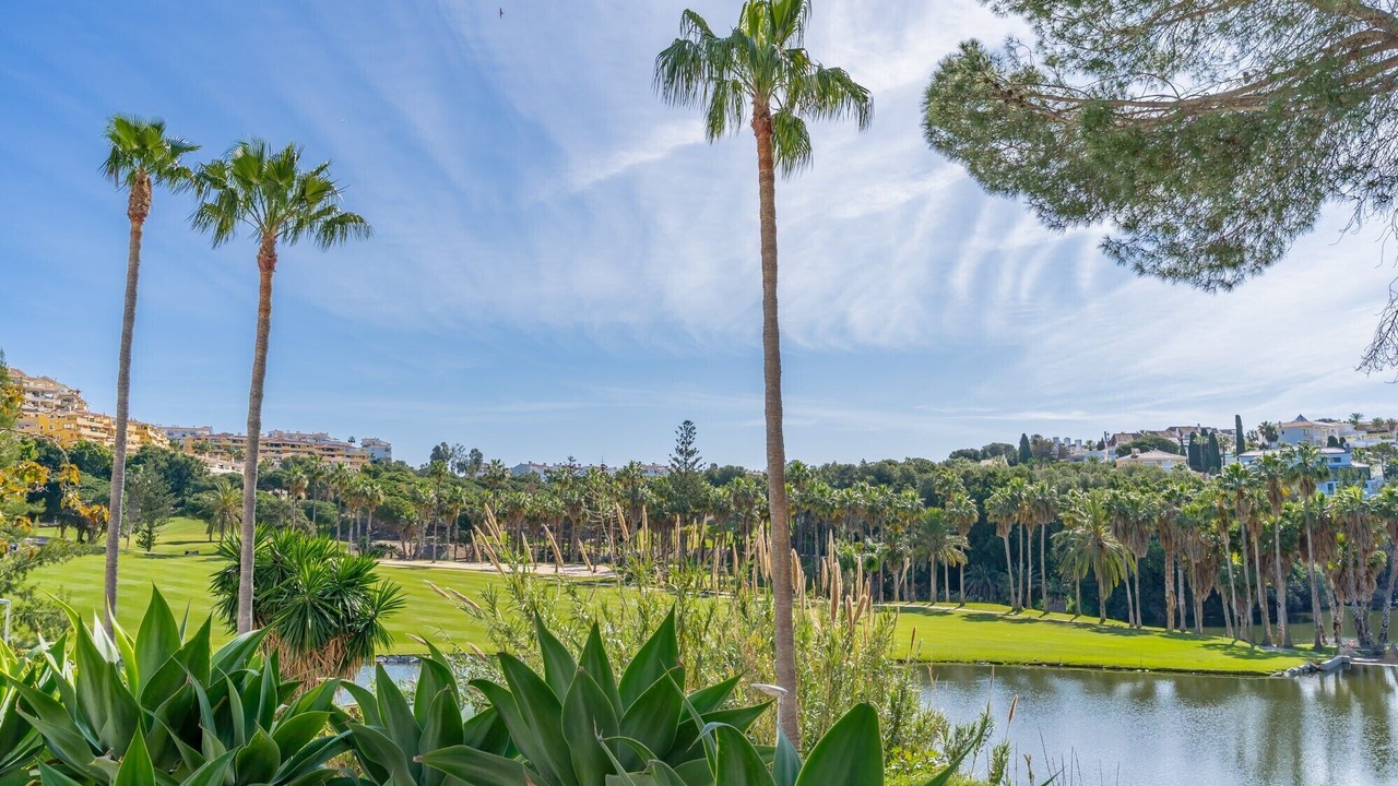 Photo of Outdoor in Torrequebrada