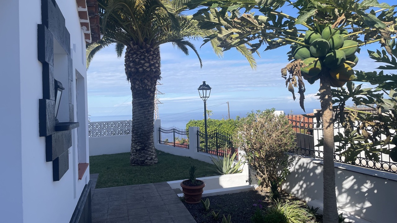 Photo of Outdoor in Tacoronte