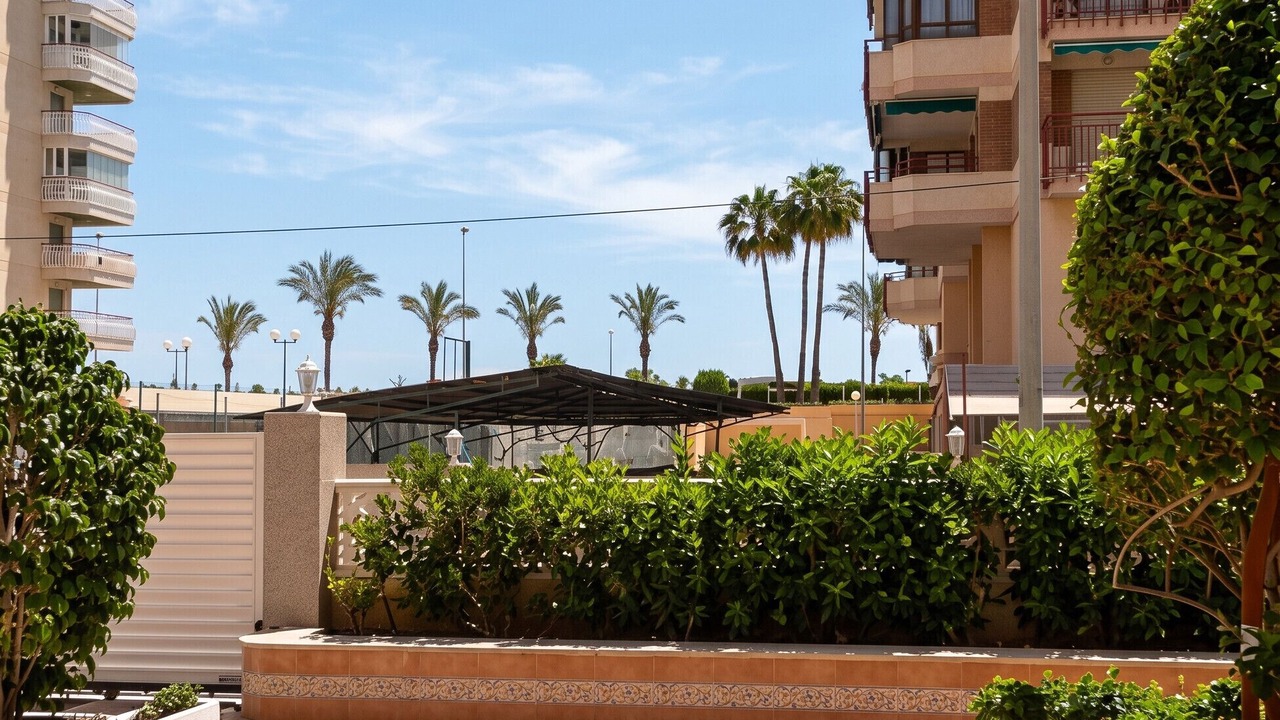 Photo of Others in Benicassim
