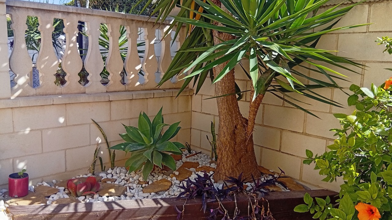 Photo of Outdoor in San Fulgencio