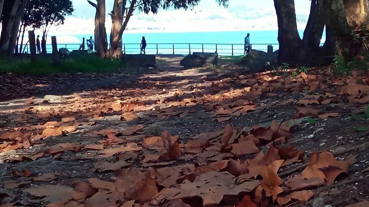 Photo of Others in Cangas