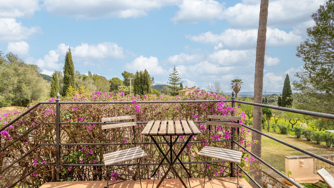 Photo of Outdoor in Establiments