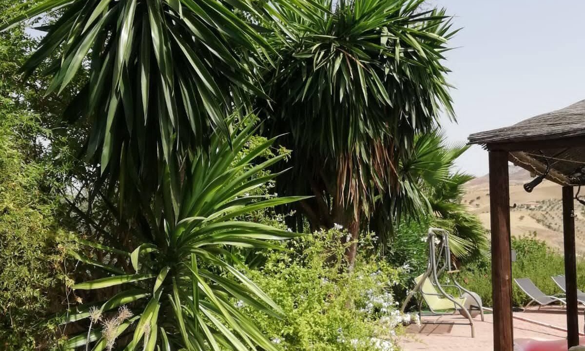Photo of Outdoor in Valle de Abdalagis