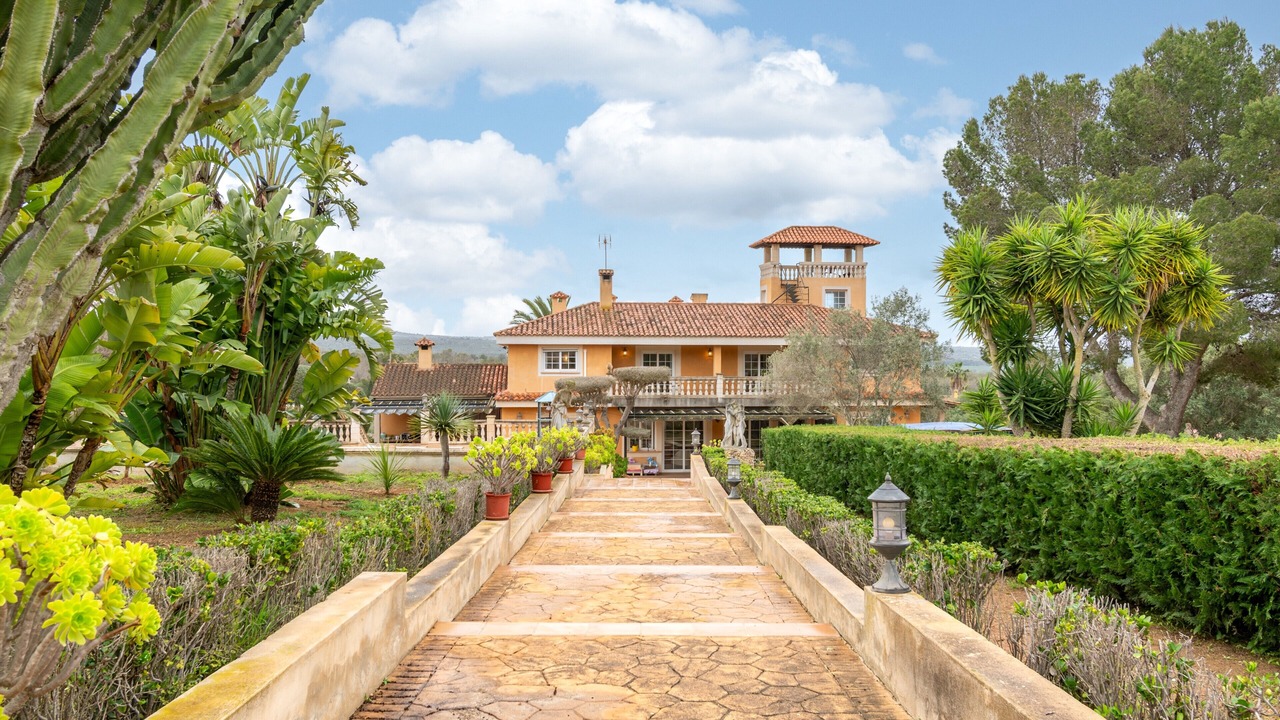 Photo of Outdoor in Puntiro