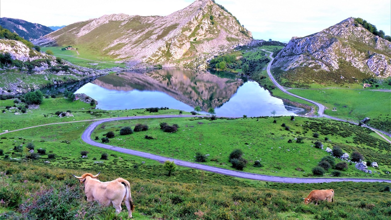 Photo of Outdoor in Llanes