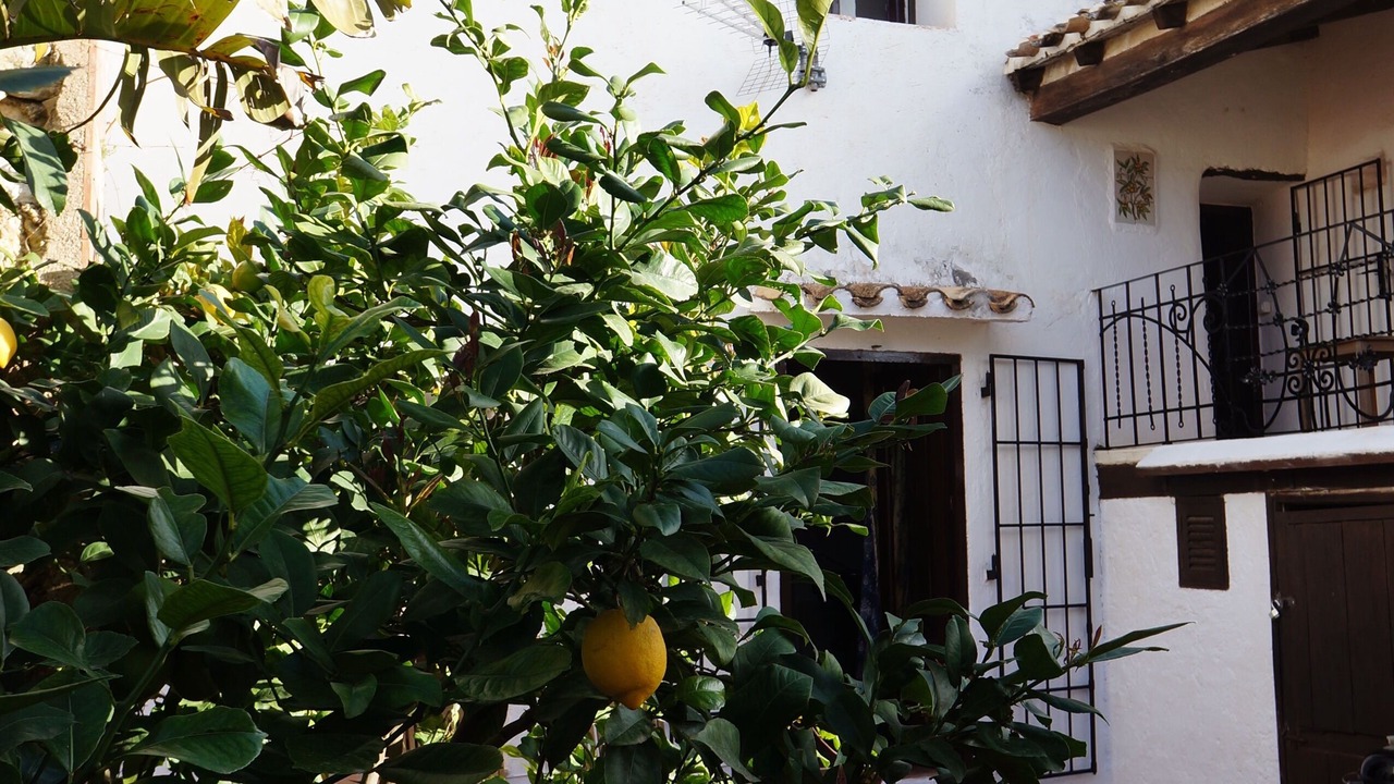 Photo of Others in Lliber
