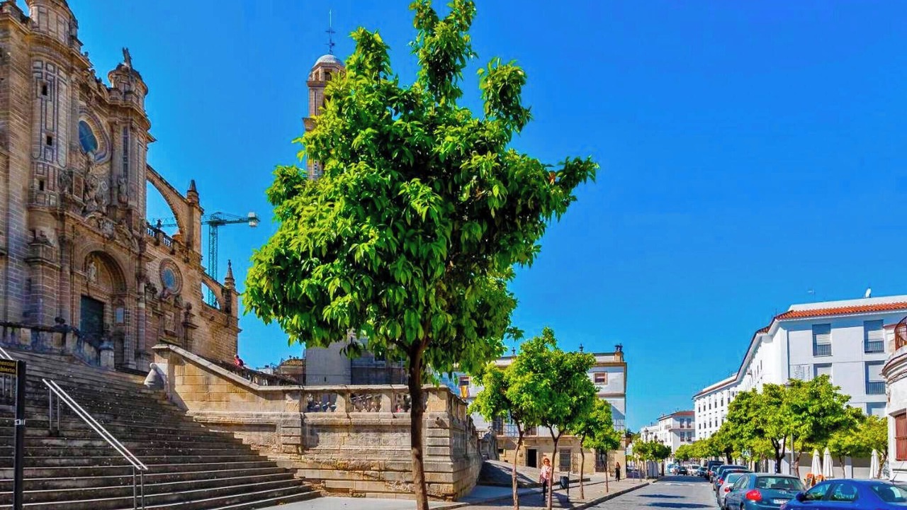 Photo of Others in Jerez de la Frontera Old Town