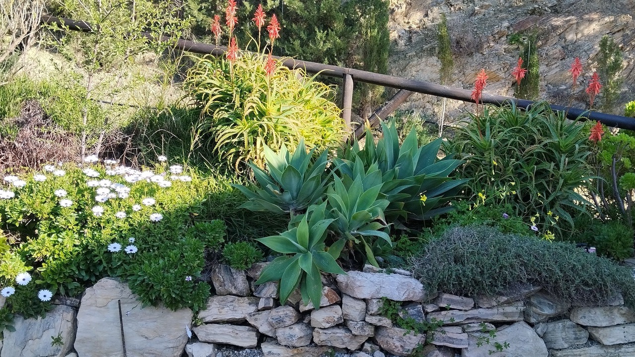 Photo of Outdoor in Valle de Abdalagis