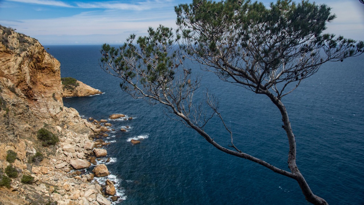 Photo of Others in Begur