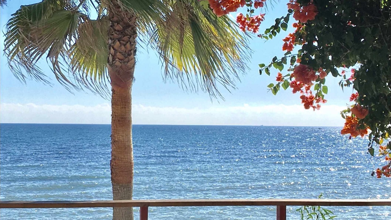 Photo of Outdoor in Sitio de Calahonda