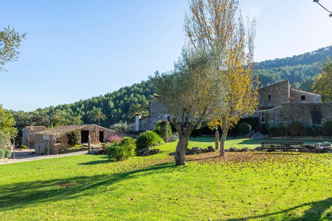 Photo of Others in Puigpunyent
