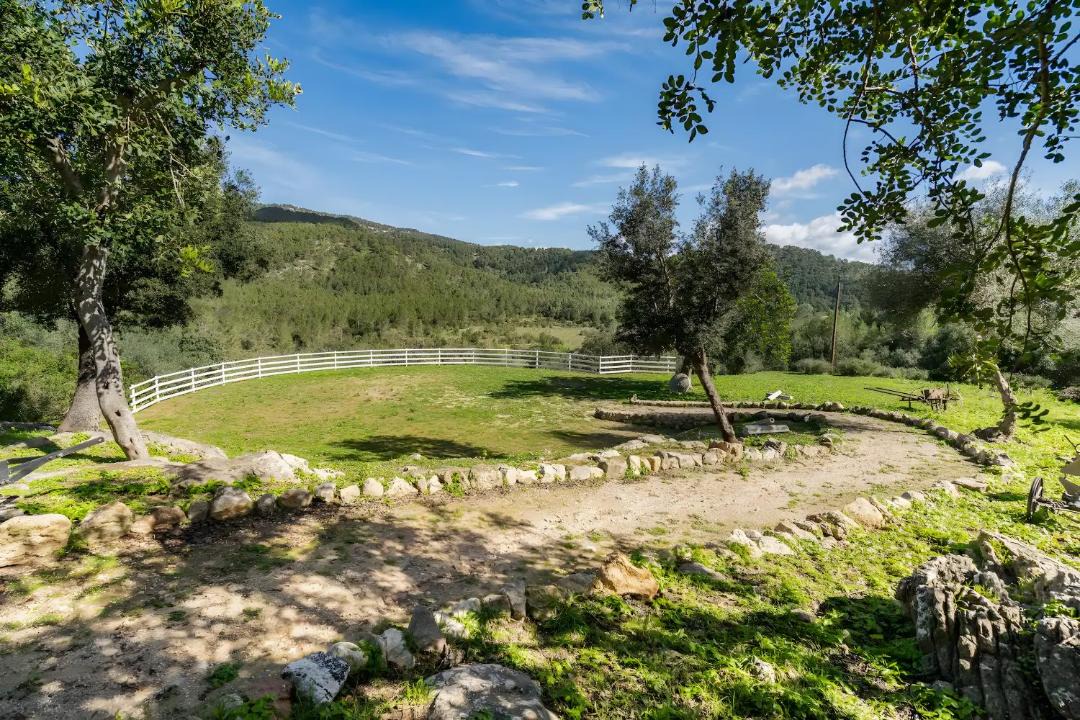 Photo of Others in Puigpunyent