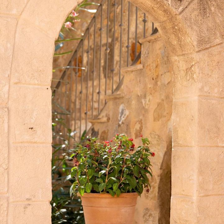 Photo of Patio Balcony in Galilea
