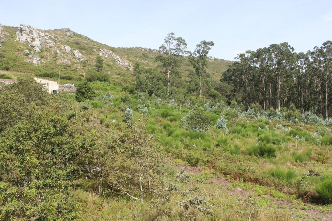 Photo of Others in Carnota