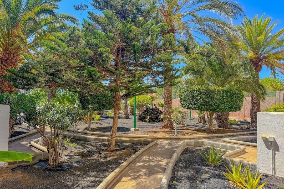 Photo of Others in Maspalomas