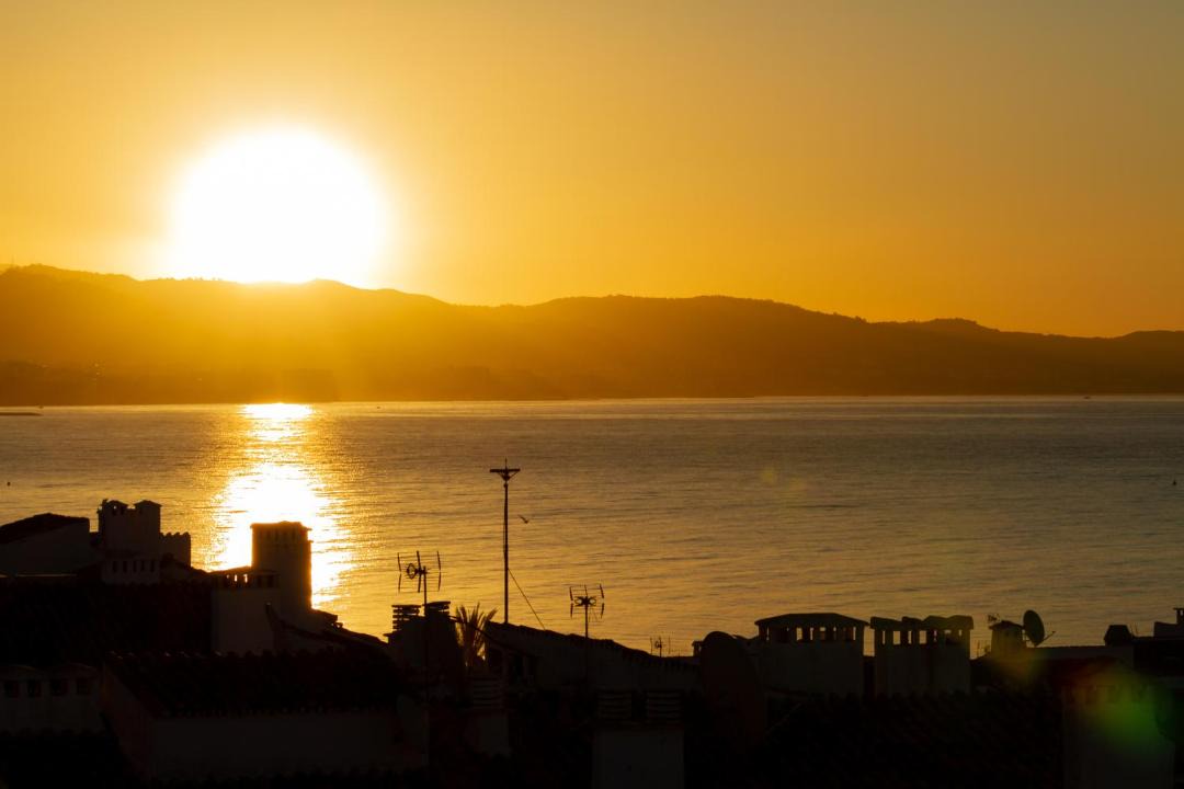 Photo of Others in Puerto Banus