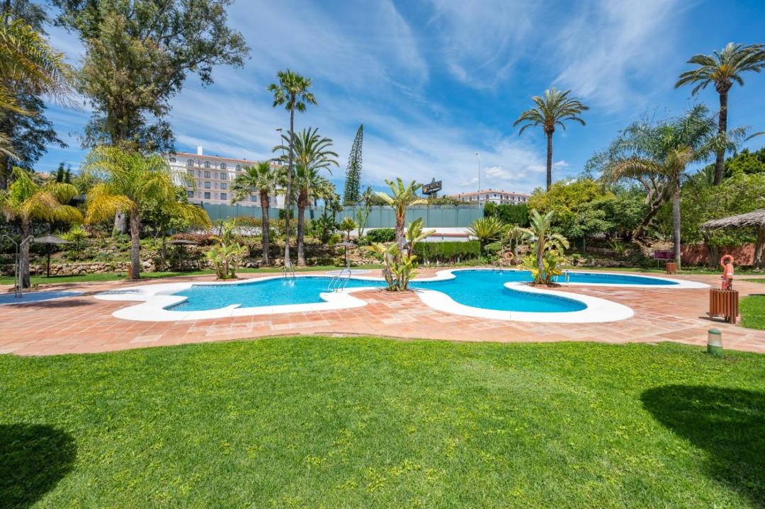 Photo of Others in Puerto Banus
