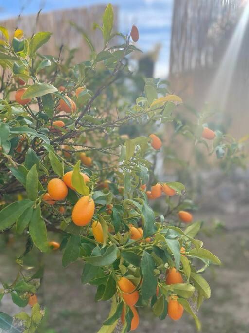 Photo of Outdoor in Monda