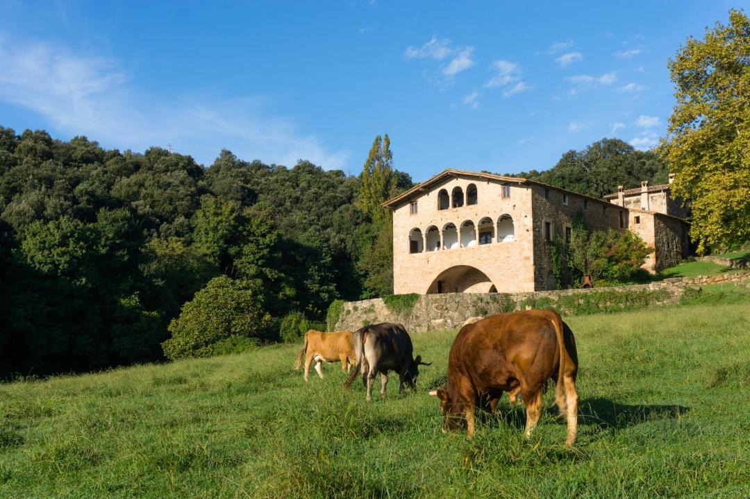 Photo of Others in Sant Salvador de Bianya