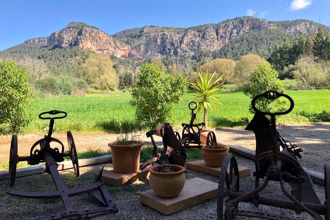 Photo of Others in Puigpunyent