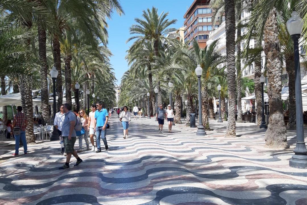 Photo of Others in Pla del Bon Repos