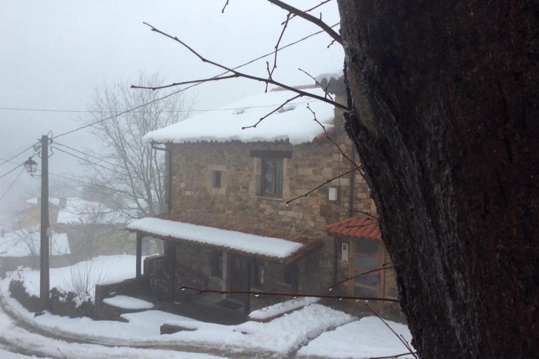 Photo of Others in Inguanzo