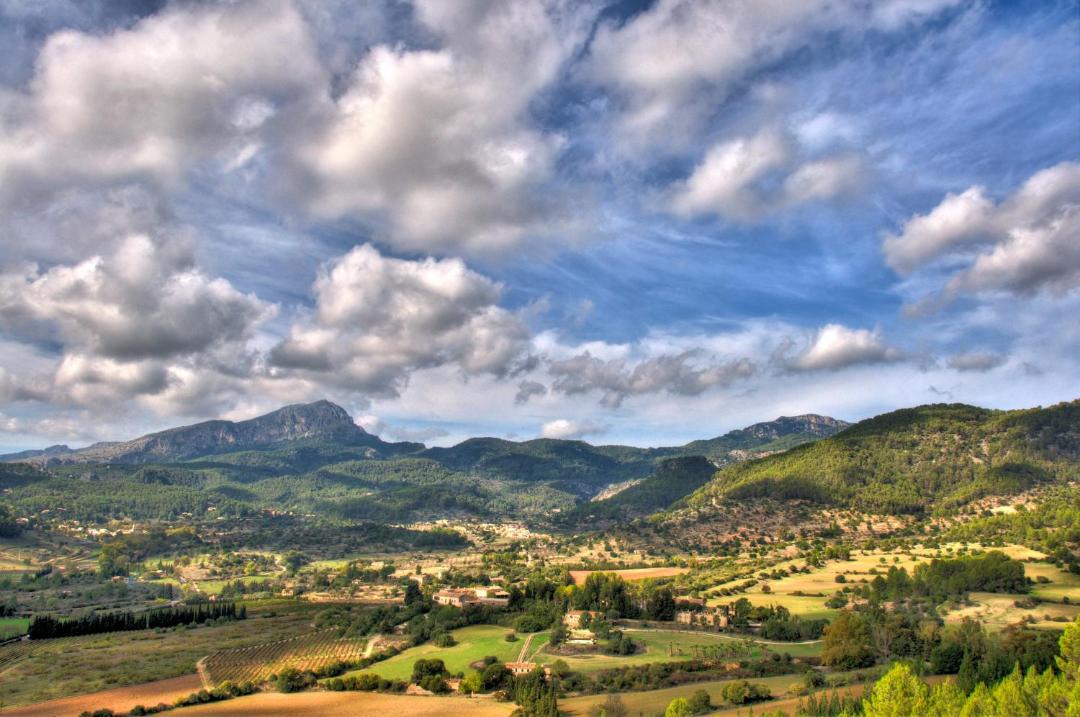 Photo of Others in Puigpunyent