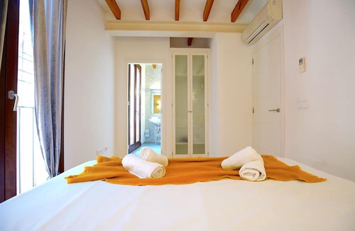 La Llotja-Born Apartment | Central Apartment with AC, Wifi, Shared Terrace, Balcony and Bright