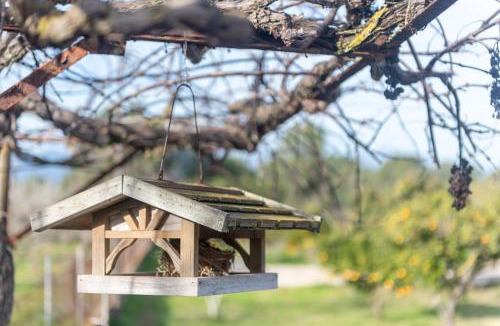 Algaida Villa | Sa Raconada