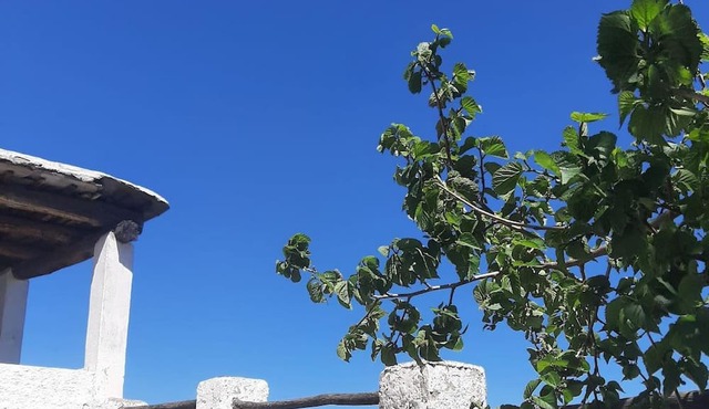 Cottage With Incredible Views In The Alpujarras