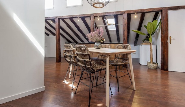 Atico Plaza Mayor, Functional apartment near Plaza Mayor